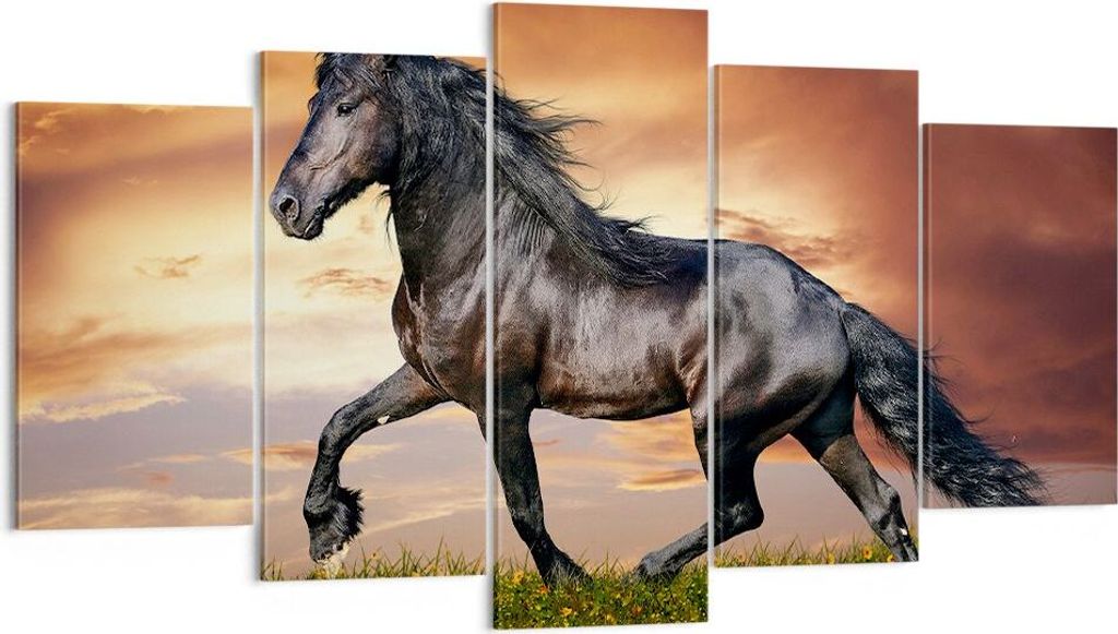 Bild auf Leinwand - Leinwandbild - Pferd Tier Wiese - 160x85cm - Wand Bild - Wanddeko - Wandbilder - Leinwanddruck - Bilder - Kunstdruck - Wanddeko...