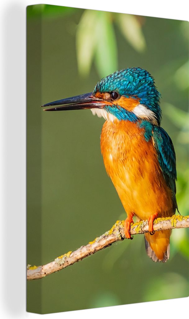 OneMillionCanvasses - Leinwandbilder - 90x140 cm, Vogel - Eisvogel - Zweig - Blätter - Moos, Wandbilder Kunstdruck Wanddekoration - Foto auf Lei...