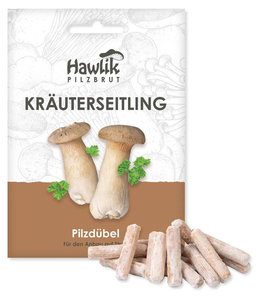 Hawlik Pilzbrut Kräuterseitling Dübel – 20 Pilzdübel auf Produktbild 
