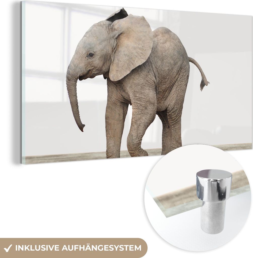 MuchoWow Glasbilder - Bilder auf Wandbild - Foto auf Glas Baby-Elefant - Tiere - Kinder - Mädchen - Jungen 120x60 cm Wanddekoration aus Glas - Acr...