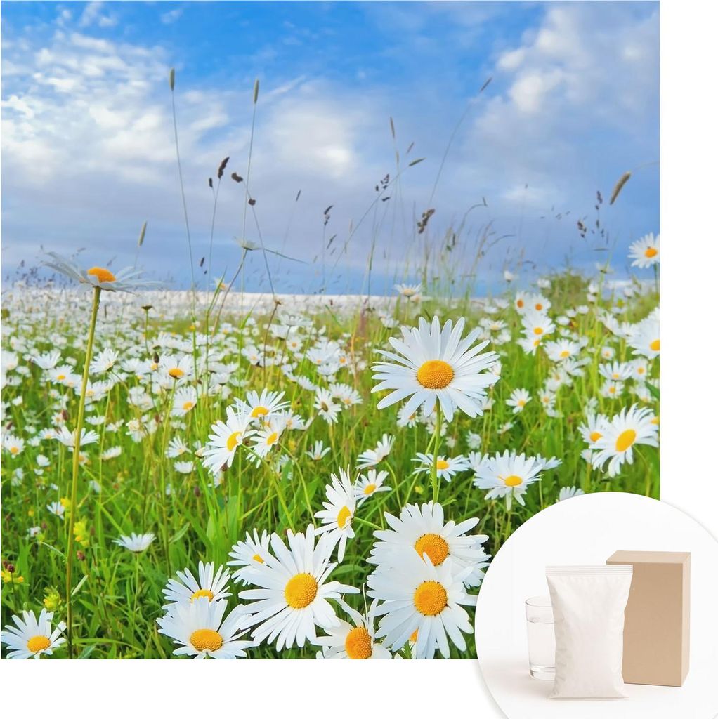 Fototapete - Wandbilder für Wohnzimmer - 250x250 cm - Dekorative Wandfolie - Modernes Design für Wanddekoration - Tapeten für Innenräume - Somm...