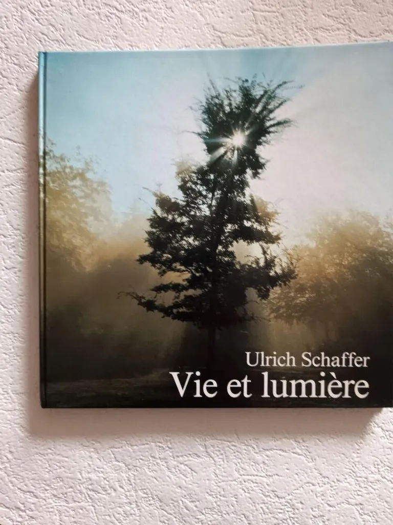 Vie et lumière - Lampe LED Décorative en Bois Naturel pour Salon - 45cm