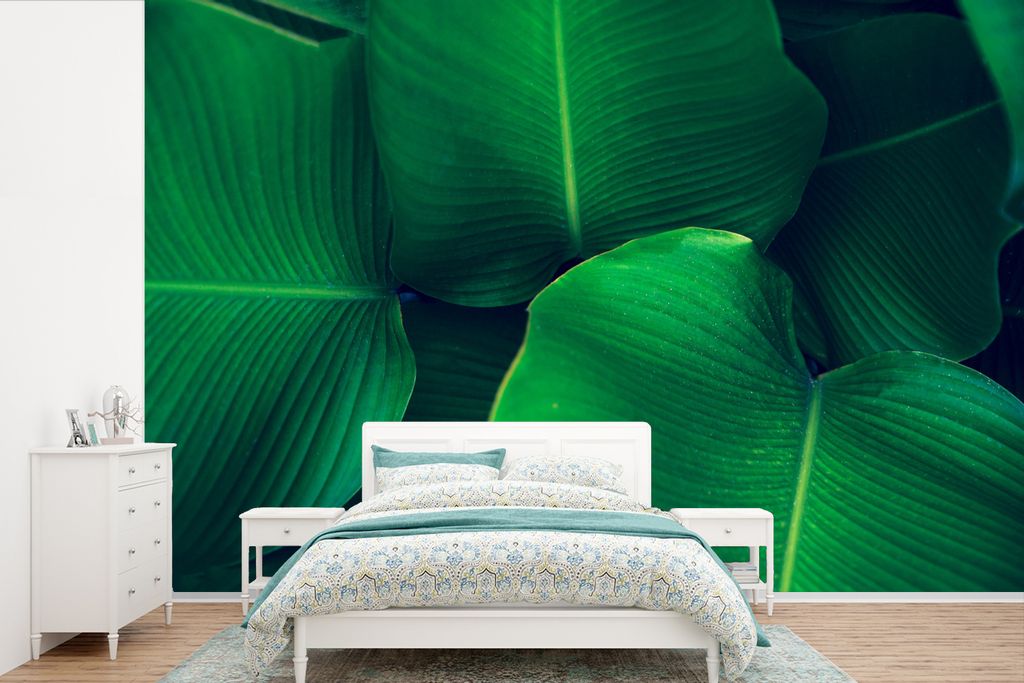 MuchoWow Fototapete für Wohnzimmer oder Schlafzimmer Wandtapete Vinyl Motivtapete Pflanzen - Tropisch - Grün - 360x240 cm - Vinyl-Tapete