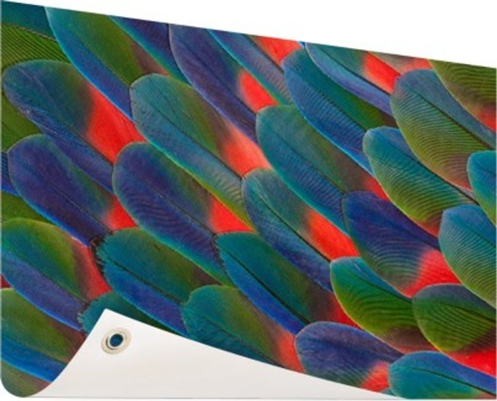 MuchoWow 60x40 cm Outdoor-Poster Gartendeko Sichtschutz Garten Poster für den Garten Detail von Federn Papagei