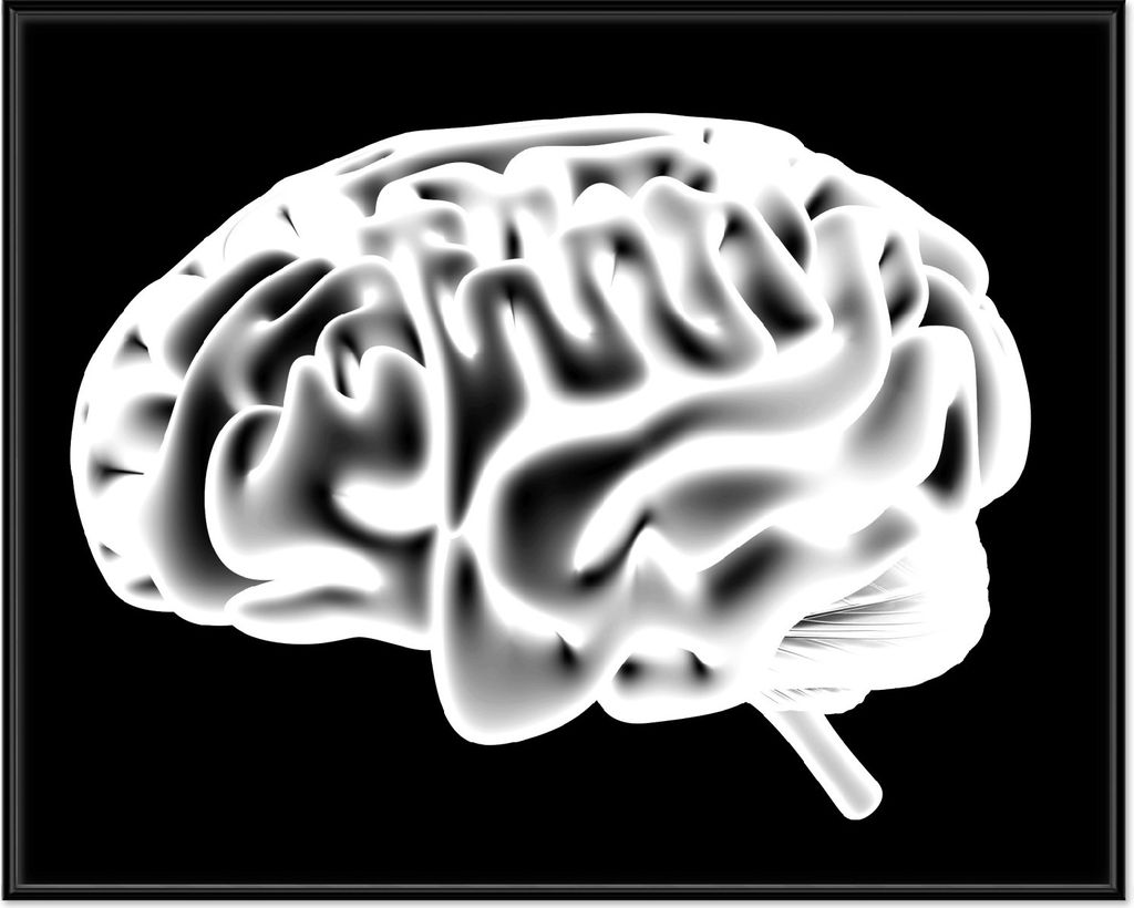 Wallario Wandbild Menschliches Gehirn in leuchtend blauer Farbe, Größe: 40,30 x 50,30 cm, Poster mit schwarzem Aluminiumrahmen