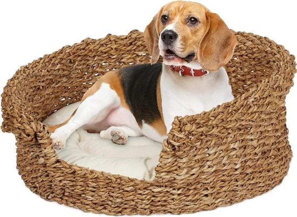 Couchage chat et petit chien - Lit rond tressé 46 cm pour repos zen