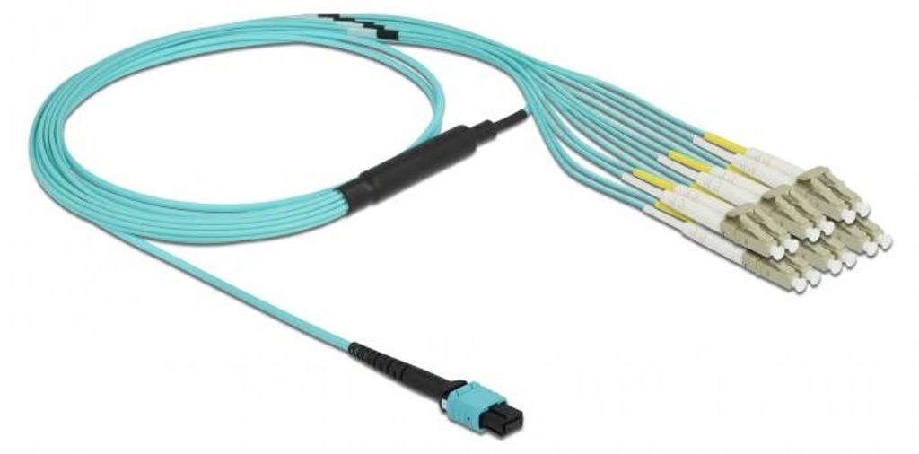 Delock LWL Kabel MPO Buchse zu 12 x LC Duplex Stecker, MM OM3, 50/125 μm, 2 m