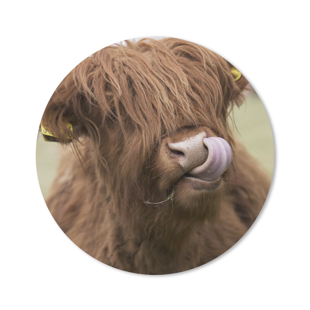 MuchoWow Mauspad Mousepad Schottischer Highlander - Braun - Kuh 30x30 cm - Mousepads - Maus Mat - Pad - Mausunterlage - Tischunterlage - Schreibt...
