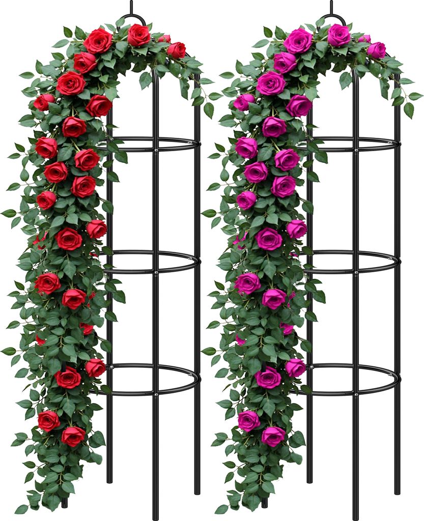 2x Tuteur de jardin 200 cm Colonne rosiers Support pour Image du produit 