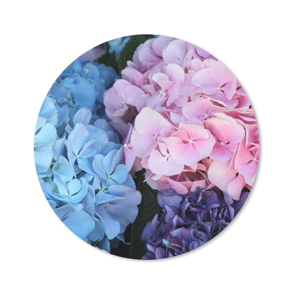 MuchoWow Mauspad Mousepad Blumen - Strauch - Hortensie - Botanisch 30x30 cm - Mousepads - Maus Mat - Pad - Mausunterlage - Tischunterlage - Schre...