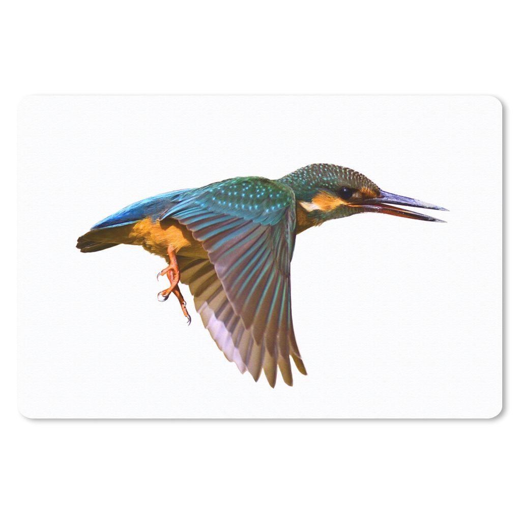 MuchoWow Schreibtischunterlage Eisvogel - Fliegen - Tiere 60x40 cm - XXL Mauspad - Großes Mauspad