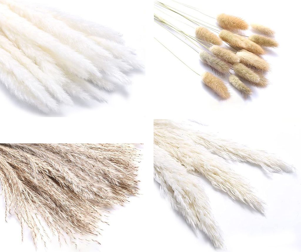 Bund trockenes Schilfgras, kein Gießen, nicht verwelkt, pflegeleicht, natürlich, getrockneter Pflanzenstrauß, DIY, Hochzeit, Boho-Blume, Heimdek...