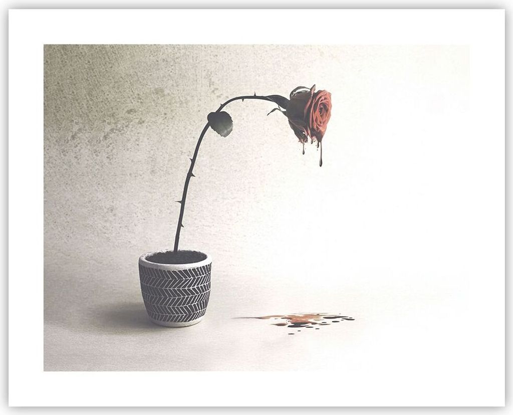 Poster - Poster ohne Rahmen - Symbol Rose Leiden - 50x40 cm - Wand Bild - Wanddeko - Wandbilder - Kunstposter - Wandposter - Bilder - Kunstdruck - ...
