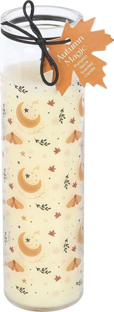 Something Different - Rohr Kerze "Autumn Magic Pumpkin Spice" SD10137 (Einheitsgröße) (Schwarz/Braun/Orange)
