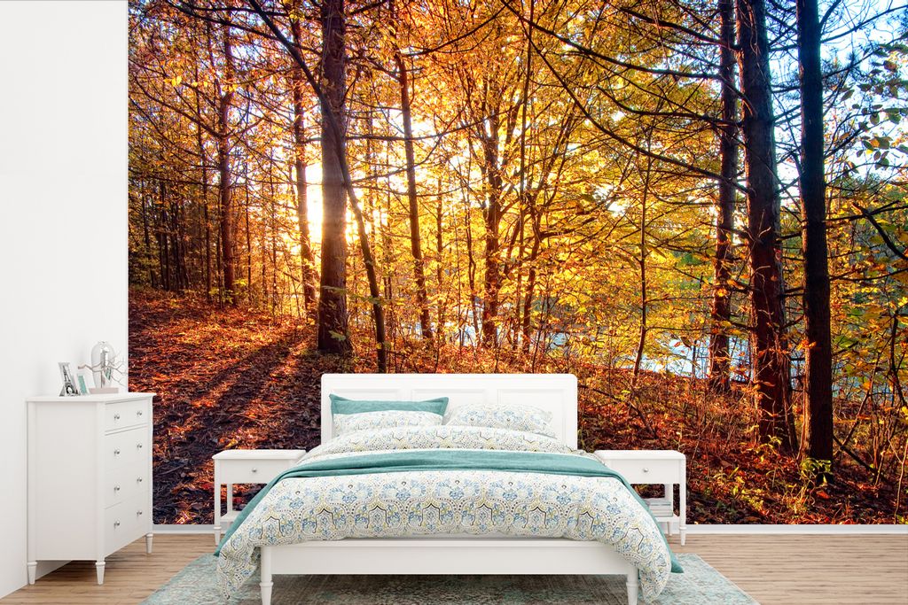 MuchoWow Fototapete für Wohnzimmer oder Schlafzimmer Wandtapete Vinyl Motivtapete Herbst - Wald - Laub - 330x220 cm - Fototapeten