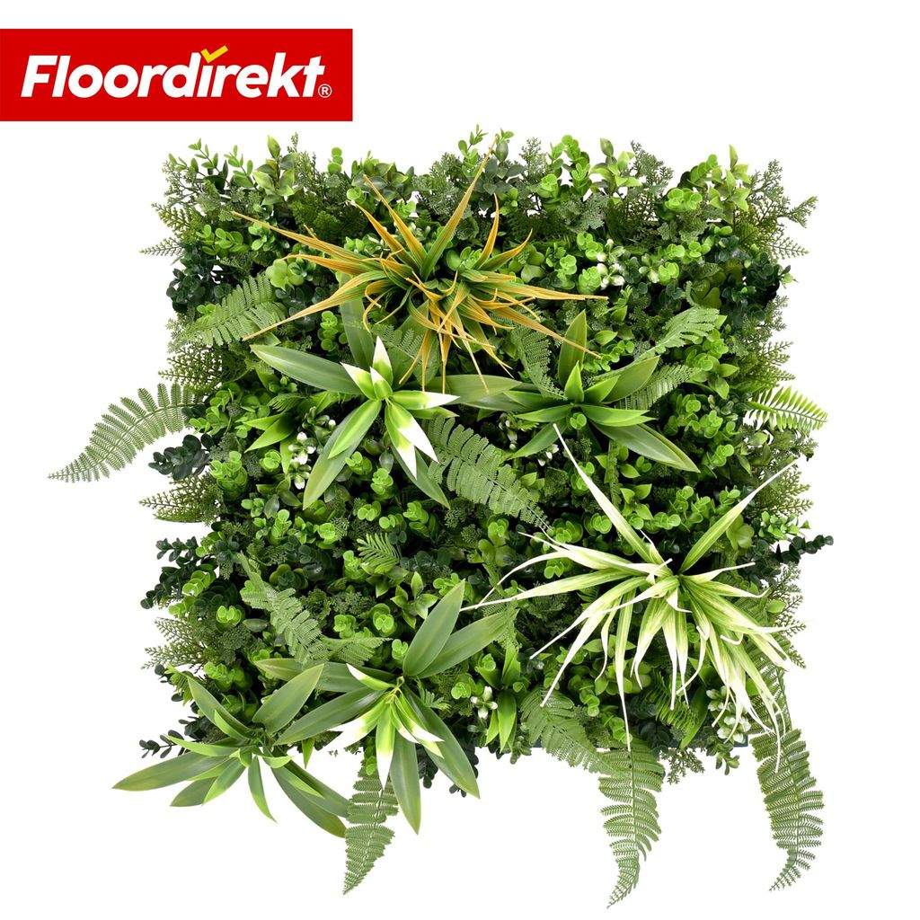 Floordirekt Mur végétal Fire Sky, panneau végétal Image du produit 