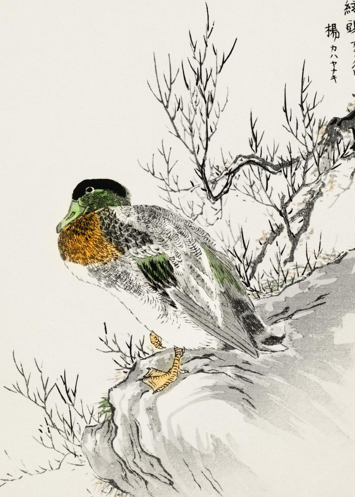 Plakat 50x70cm Mallard und Weide, Japanischer Vintage Kashu