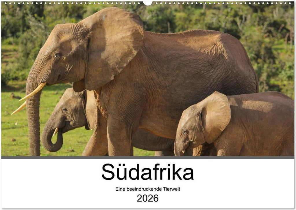 Südafrika - Eine beeindruckende Tierwelt (Wandkalender 2026 DIN A2 quer), CALVENDO Monatskalender