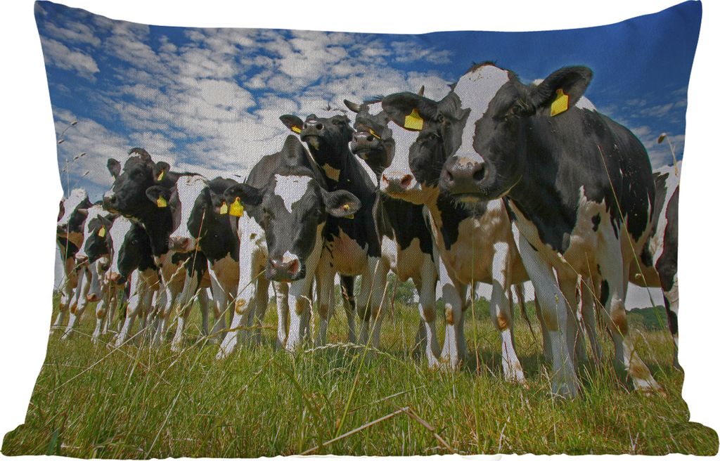 MuchoWow® Outdoor Kissen - Kühe - Gras - Wiese - Tiere - Produktbild 