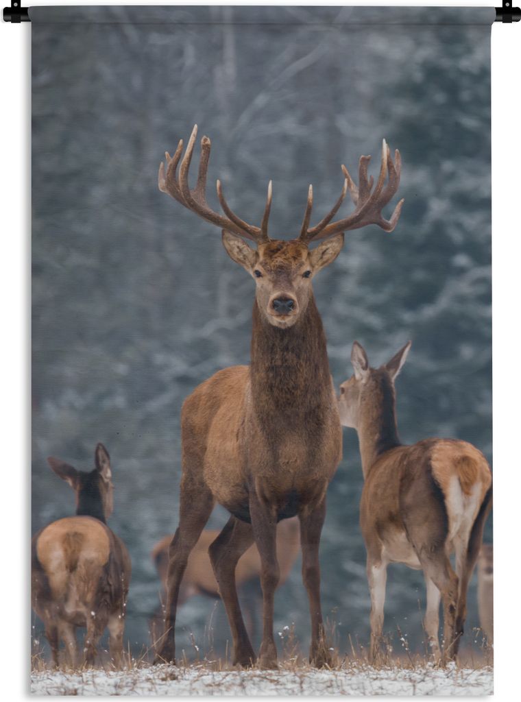 MuchoWow Wandteppich Wandbehang Hirsche - Winter - Schnee - Waldtiere - Wald - Natur 60x90 cm Tapisserie Dekoration Wandtuch - Foto-Teppich - Abw...