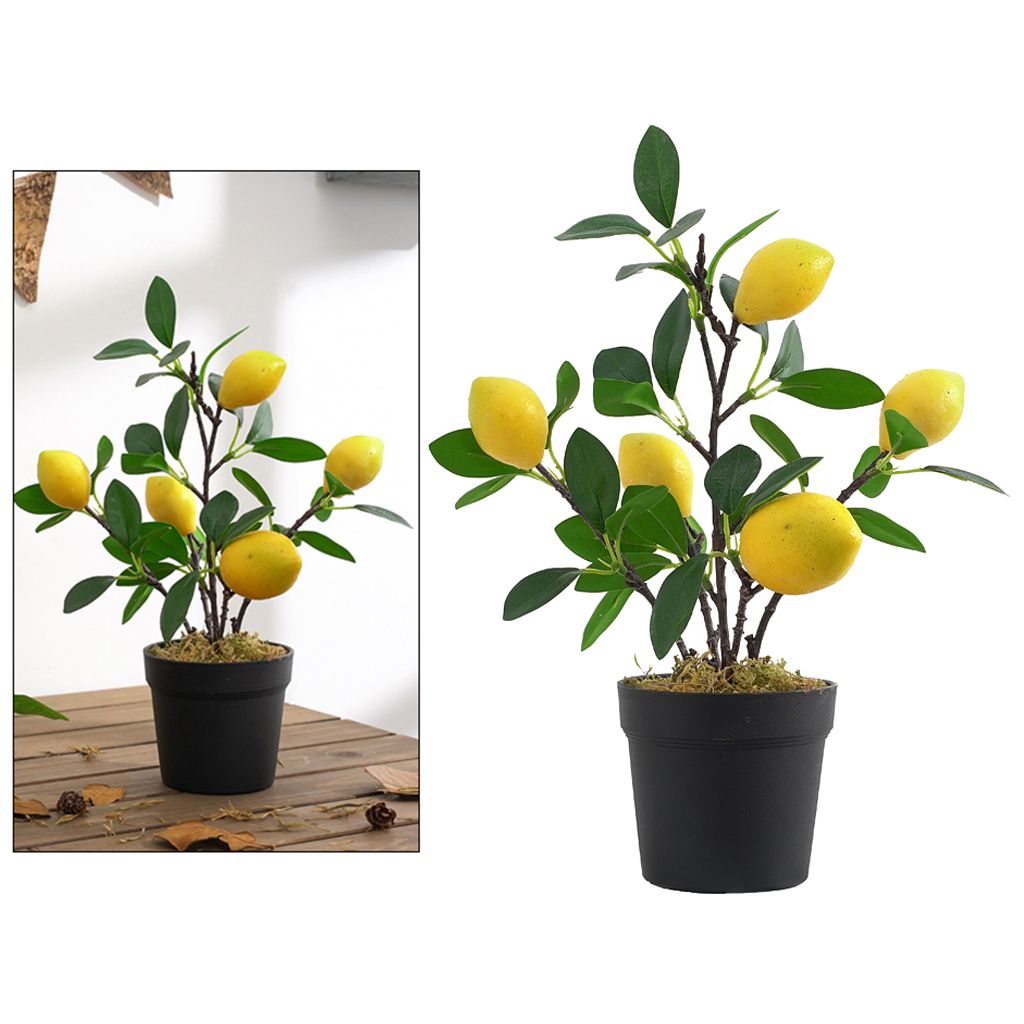 Künstliche Pflanzen Bonsai Obstbaum Topf Für Kaufland.de