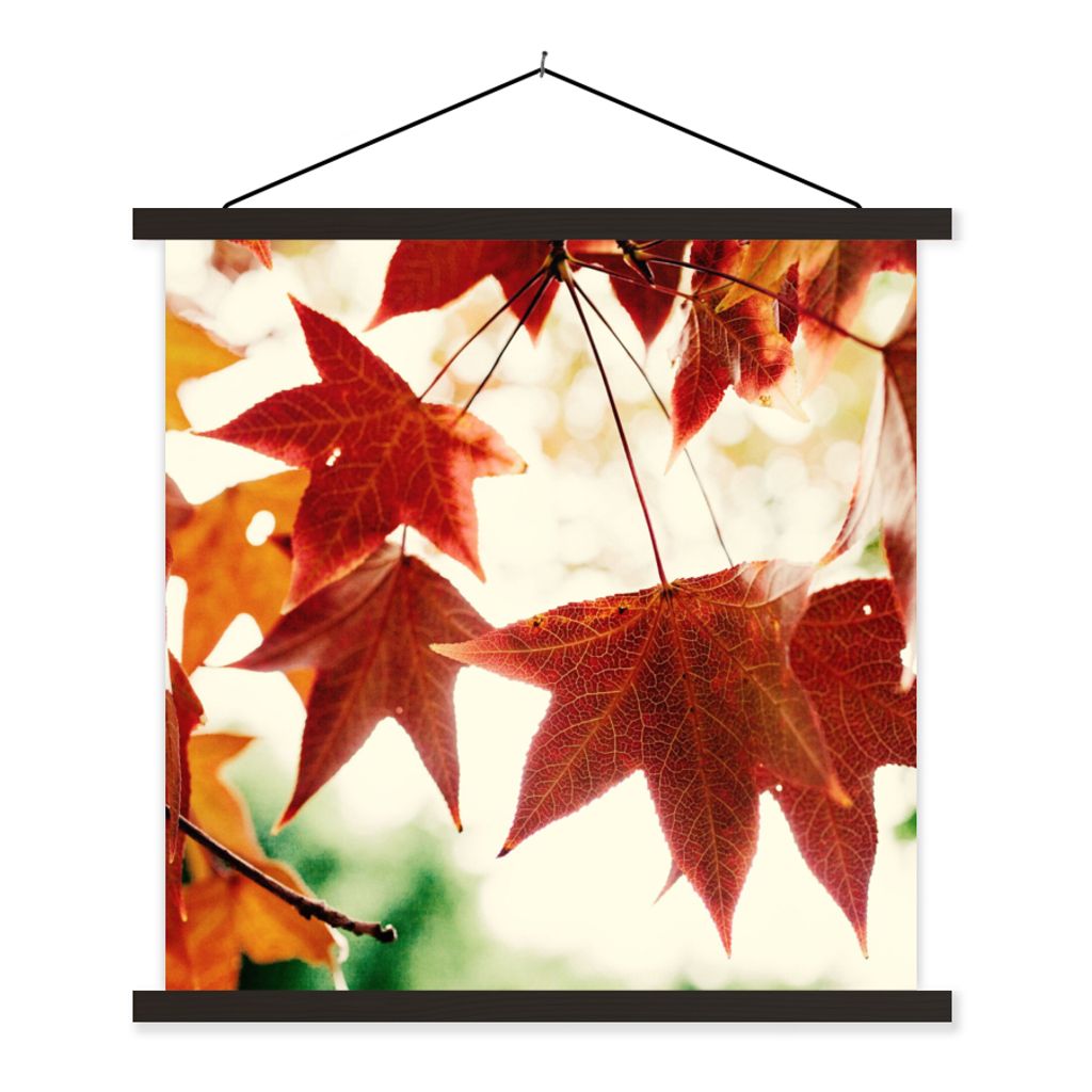 MuchoWow Textilposter Herbstblätter - November - Natur - Bäume 60x60 cm mit schwarzem Rahmen - Posteraufhänger