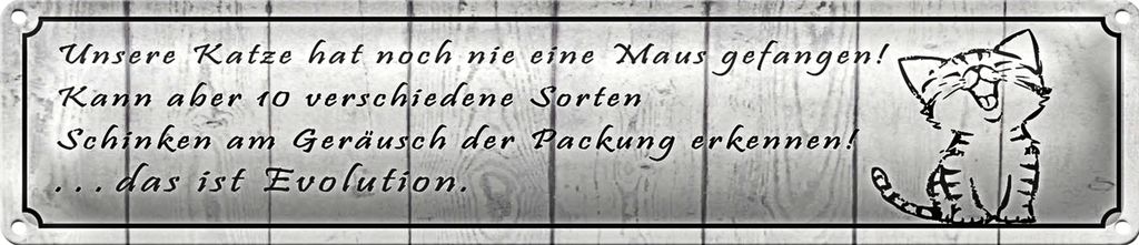 Blechschild Spruch 46x10cm unsere Katze noch Maus gefangen Dekoration
