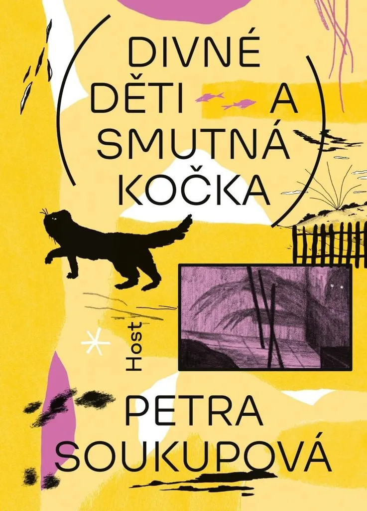 Livre Divné děti a smutná kočka - Roman tchèque illustré pour ados
