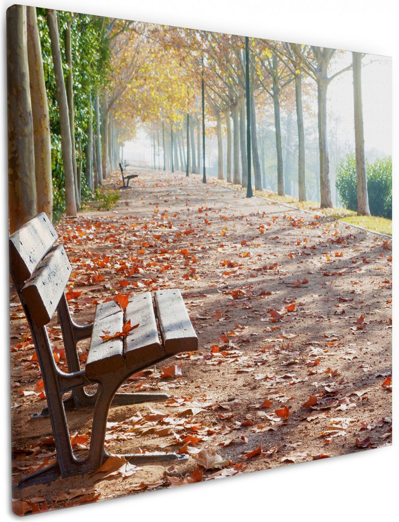 Wallario Premium Leinwandbild Einsame Parkbank an einer Allee - Herbststimmung in Größe 50 x 50 cm