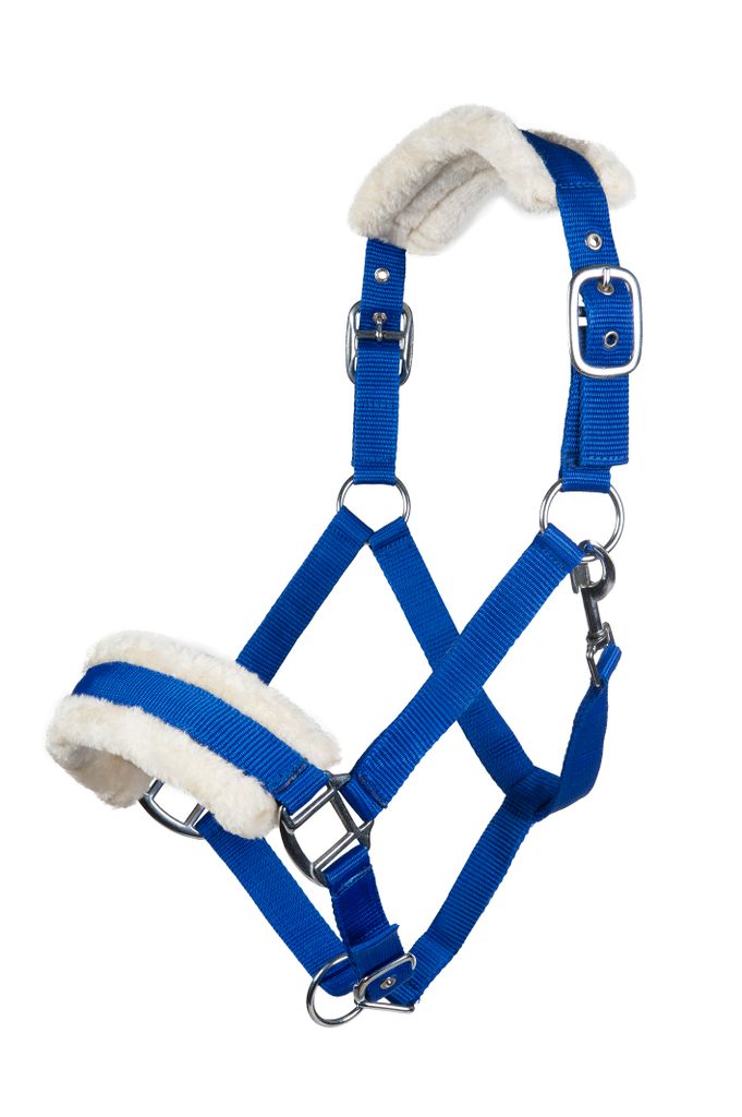 HKM Halfter mit Plüschpolsterung Bischofshofen Royalblau Warmblut