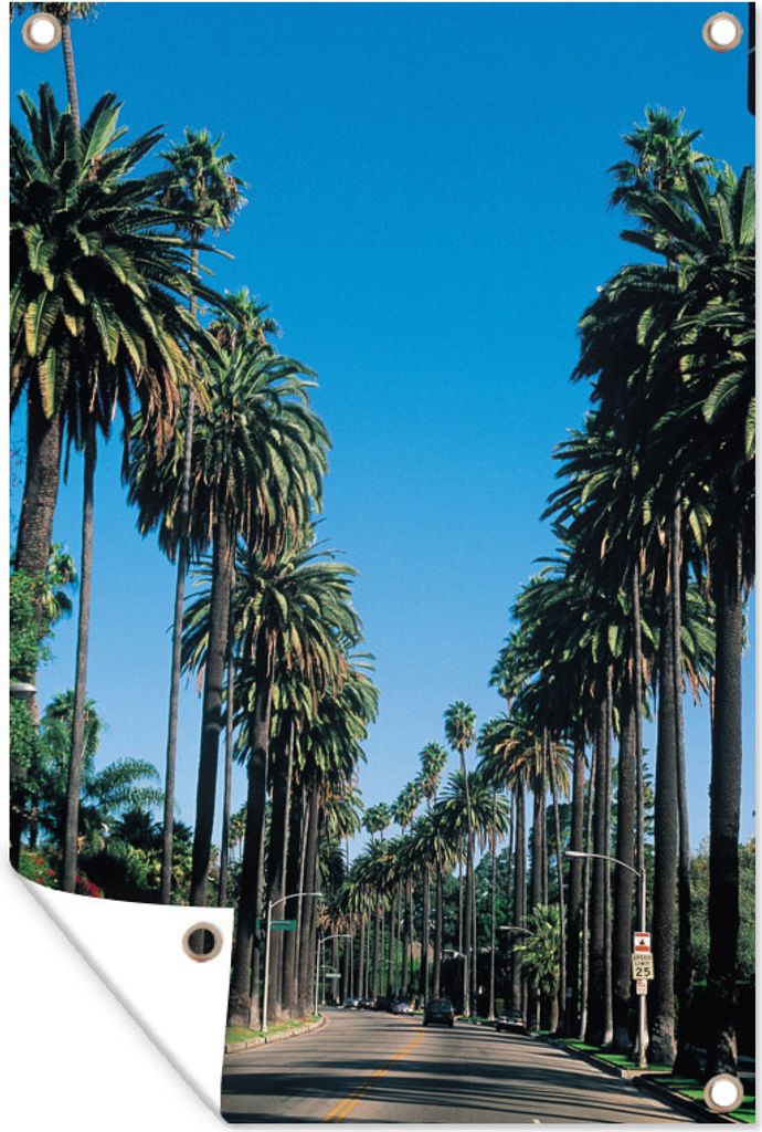 MuchoWow 80x120 cm Outdoor-Poster Gartendeko Sichtschutz Garten Poster für den Garten Die Reihen der niedrigen Palmen entlang der Straße