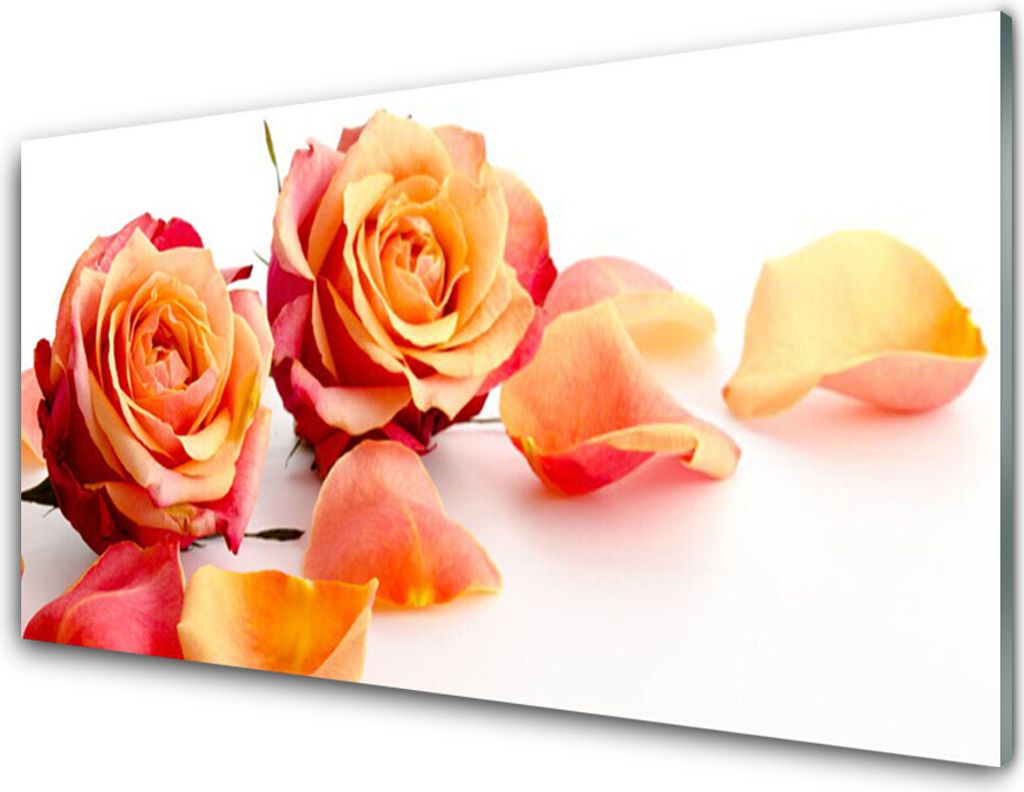 Küchenrückwand aus Glas 100x50cm Spritzschutz Rosen Pflanzen