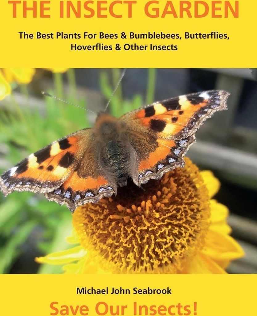 The Insect Garden