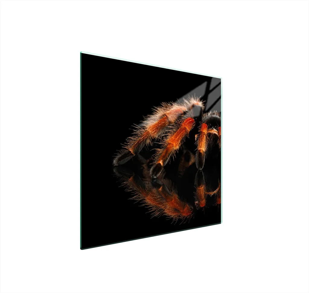 Copripiano Cottura Vetro 50x52 Spider Herd - Sicurezza Bambini
