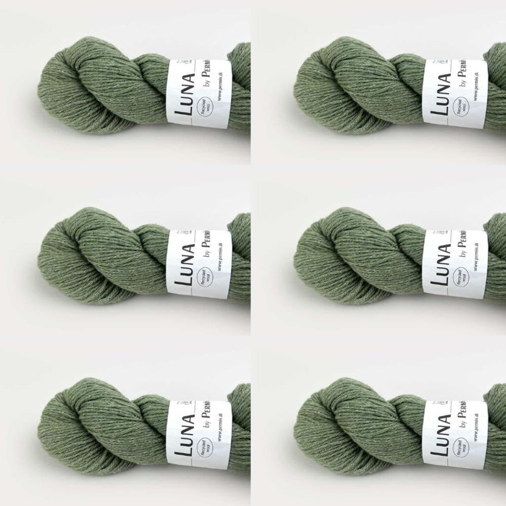 6x Luna von Permin – 100 % recycelte Wolle (Mulesing-frei & ) (16 hellgrün)