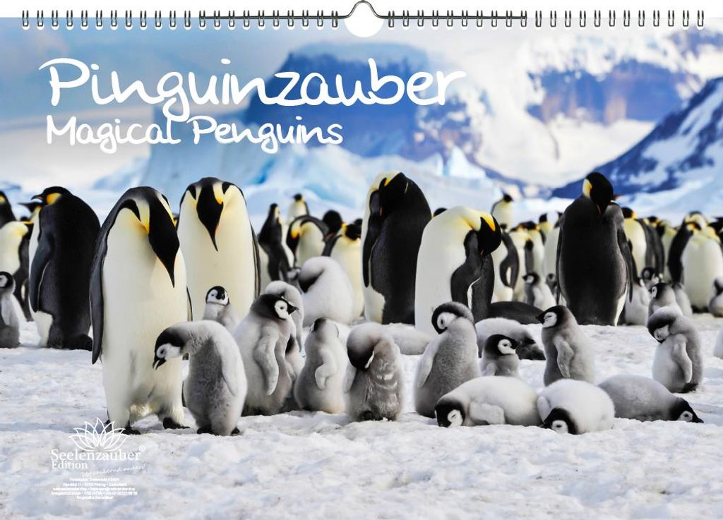 Pinguinzauber DIN A3 Immerwährender Kalender Pinguin - Seelenzauber
