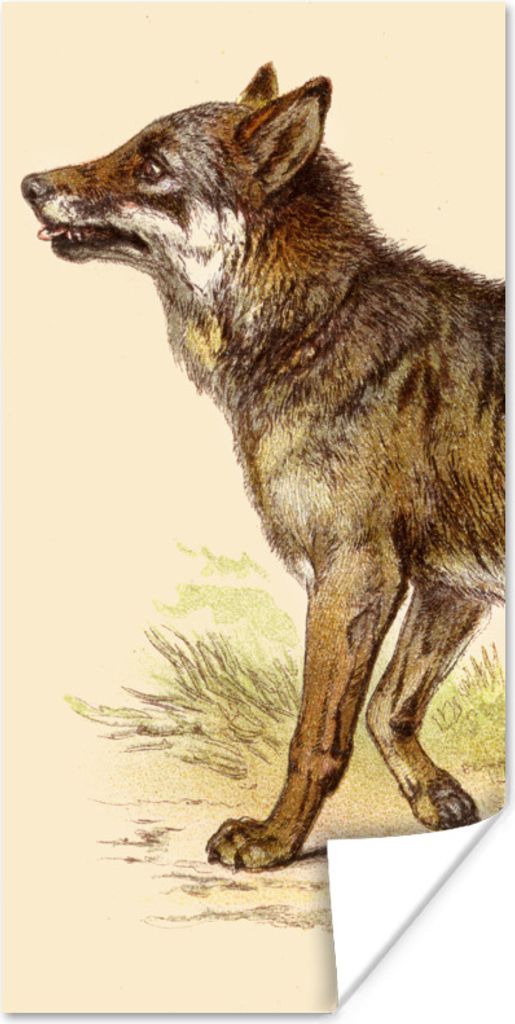 MuchoWow Poster Wolf - Raubtier - Pflanzen 75x150 cm - Dekoration für die Wände