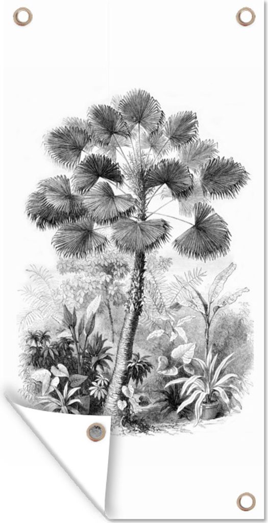 MuchoWow 80x160 cm Outdoor-Poster Gartendeko Sichtschutz Garten Poster für den Garten Blätter - Schwarz und weiß - Design - Palme