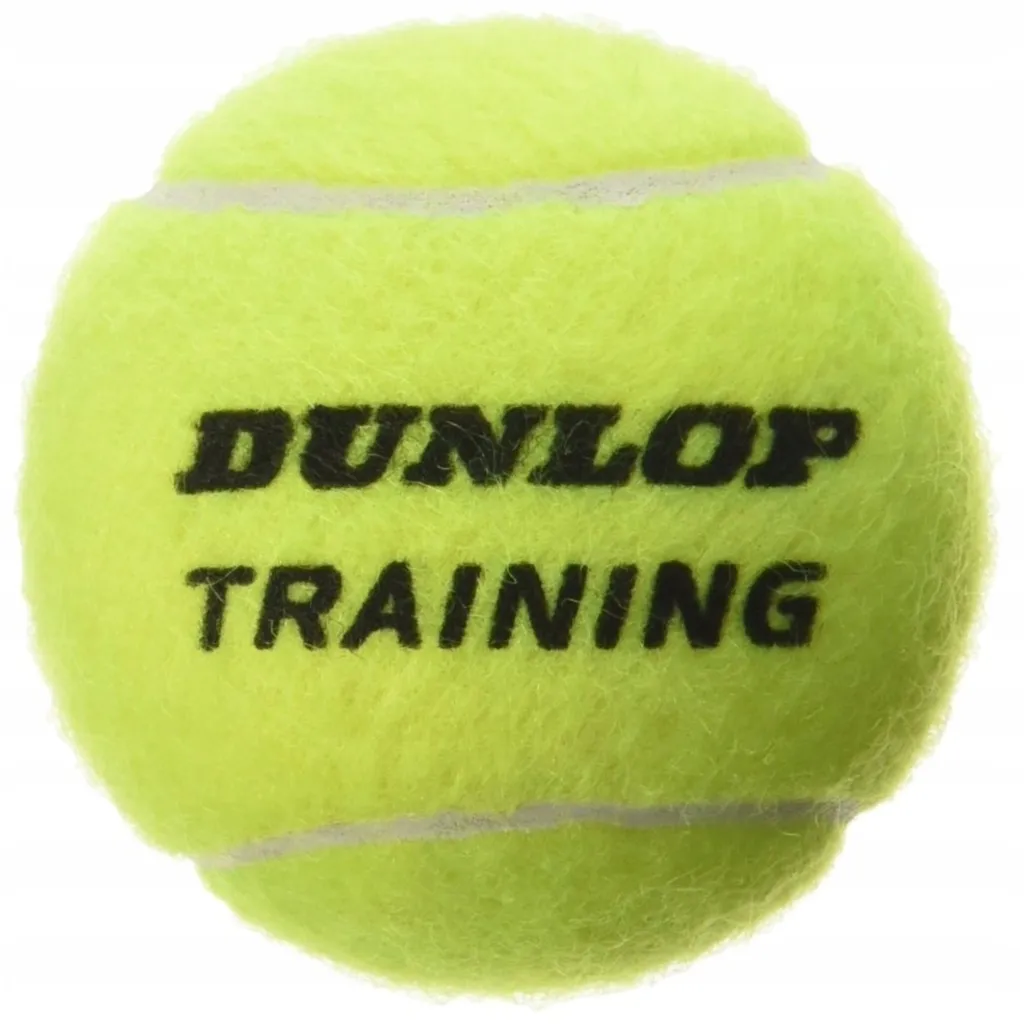 Balle de Tennis Dunlop Training T60w Idéale pour Perfectionner le Jeu