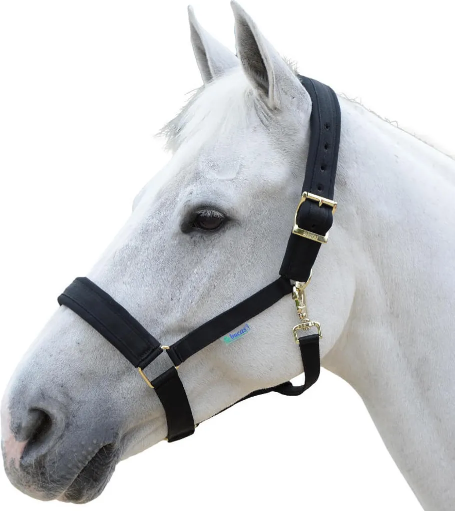 Bucas Comfort Halter Black Full: Massima Efficienza in Scuderia