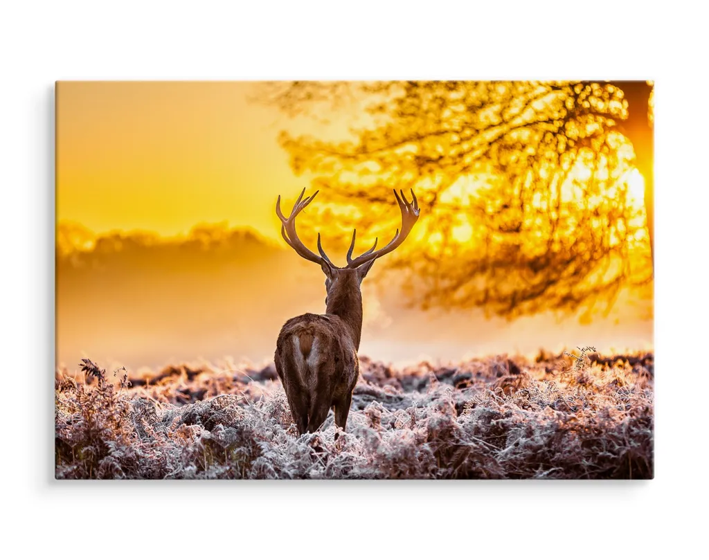 Poster XXL Cervo Neve 100x70 cm - Carta da Parati Moderna su Tela - 3