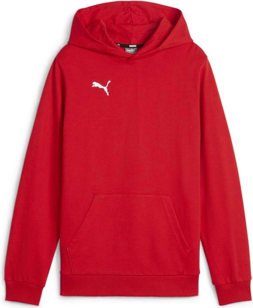 Puma Teamgoal Kapuzenpullover Herren - Rot Produktbild 