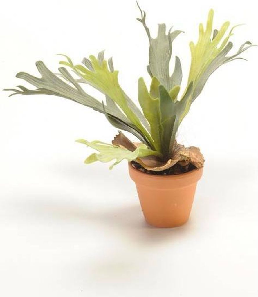 artplants.de Kunstpflanze Geweihfarn BAROJA im Terracottatopf, grün, 50cm - Deko Hirschfarn
