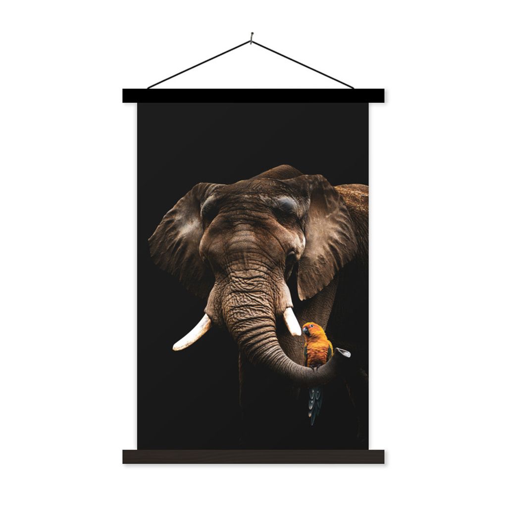 MuchoWow Textilposter Elefant - Schwarz - Papagei 120x180 cm mit schwarzem Rahmen - Fotos