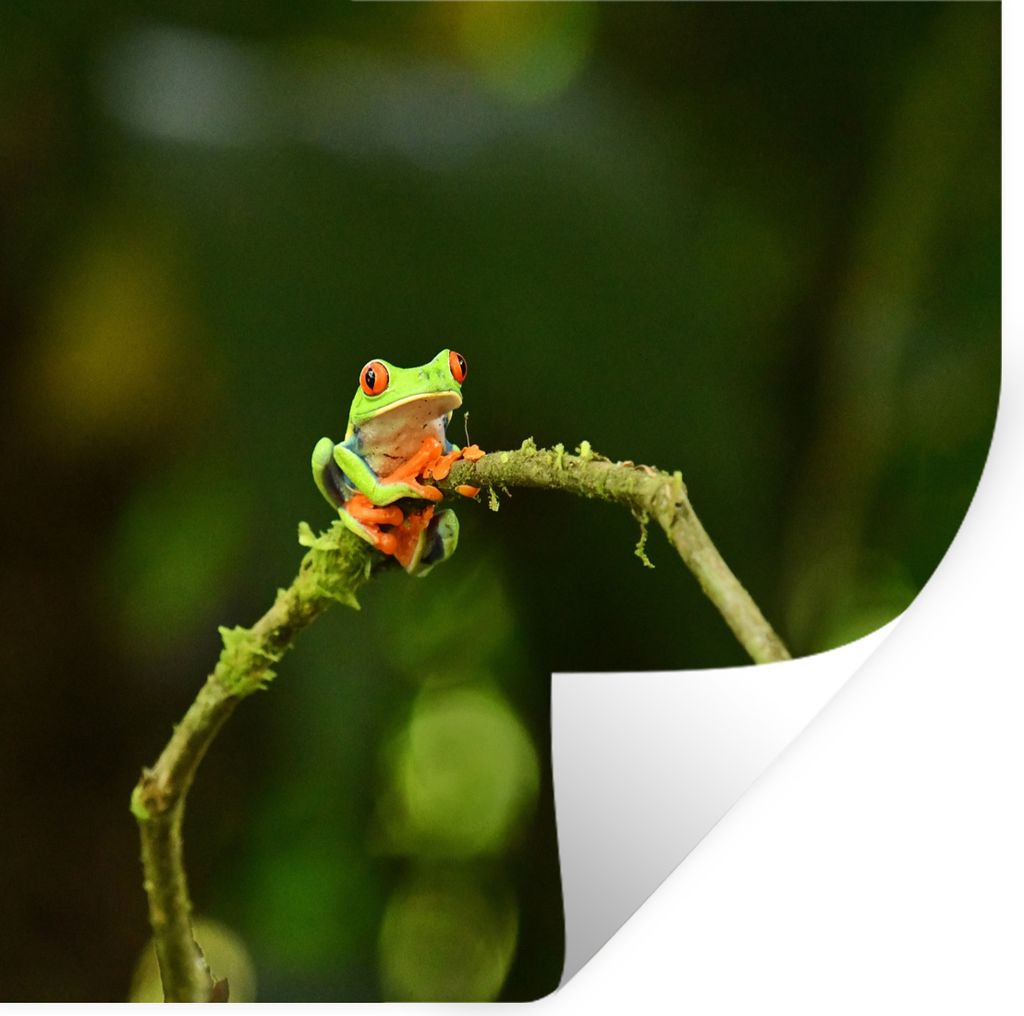 MuchoWow - Wierderverwendbar - Selbstklebend