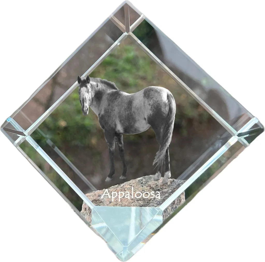 Presse-papier en cristal avec motif cheval, cube décoratif 60mm