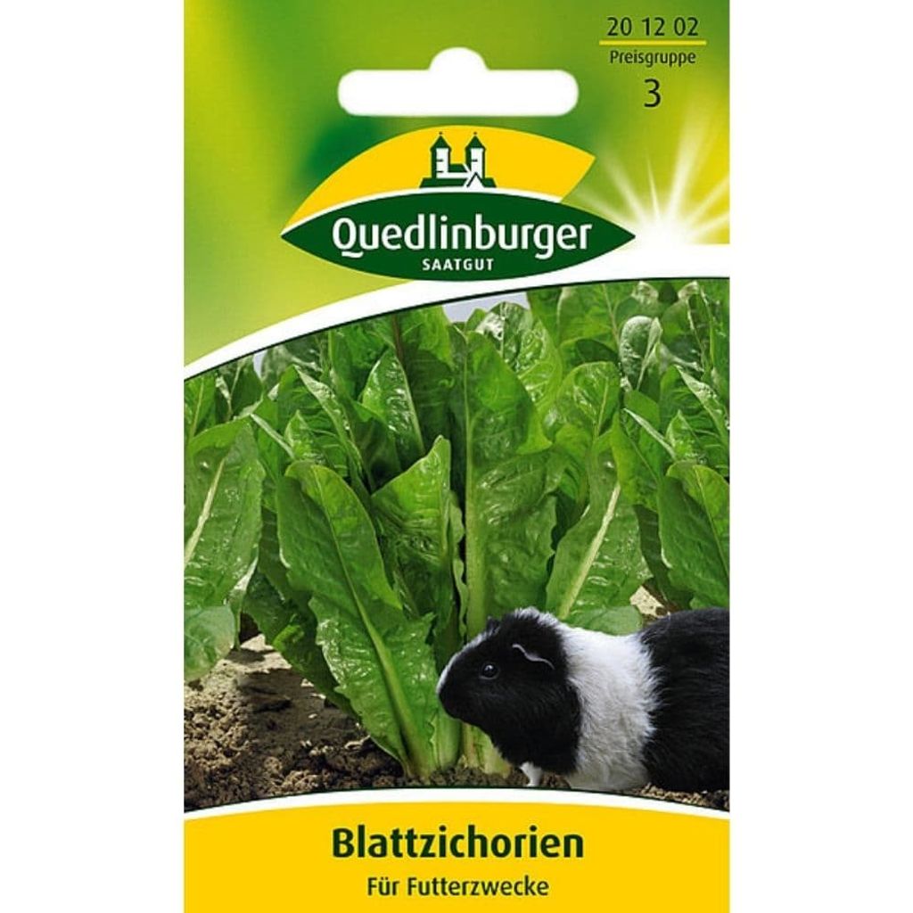 Quedlinburger Saatgut - Blattzichorie Vorteilspackung 30 g Produktbild 