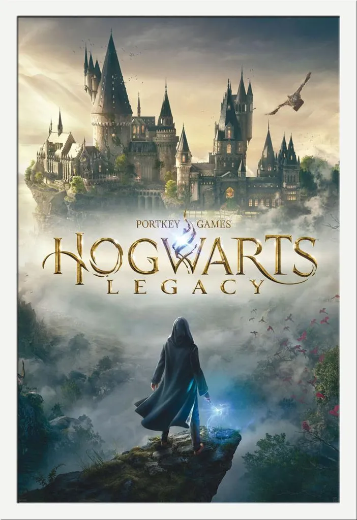 Poster Hogwarts Legacy Encadré pour Décoration Chambre Harry Potter MDF