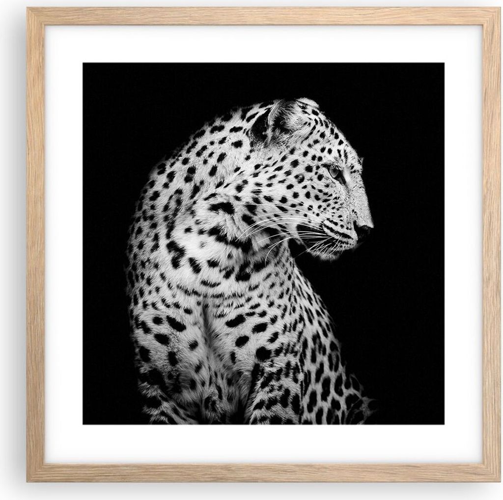 Gerahmtes Poster - Rahmen in heller Eiche - Leopard Panther Katze - 40x40 cm - Wand Bild - Wanddeko - Wandbilder - Kunstposter - Wandposter - Bilde...