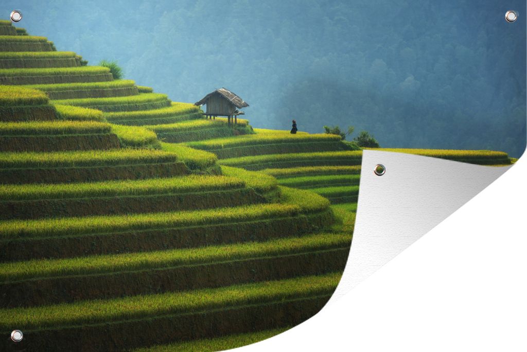 MuchoWow 90x60 cm Outdoor-Poster Gartendeko Sichtschutz Garten Poster für den Garten Die riesigen Sawas von Malaysia